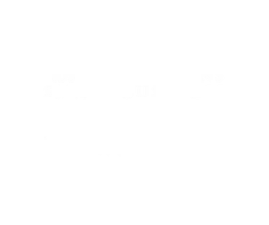Australian Womens Small Business Champion