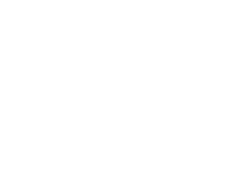 CEO of the Year